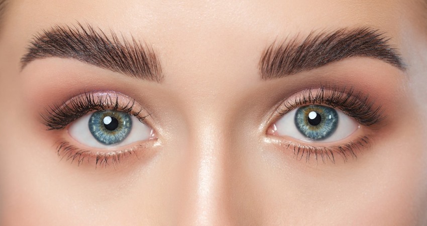 Librow Shows You How to Grow Eyebrows Fast and Naturally