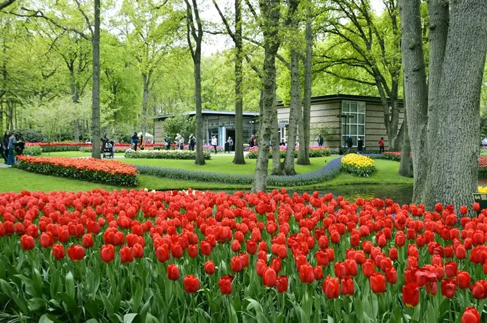Must-Visit Tourist Destinations in the Netherlands